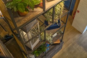 loft-56-display-stand